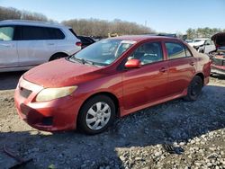 Toyota Corolla salvage cars for sale: 2009 Toyota Corolla Base