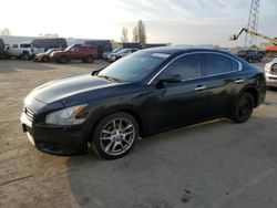 Nissan Maxima salvage cars for sale: 2013 Nissan Maxima S