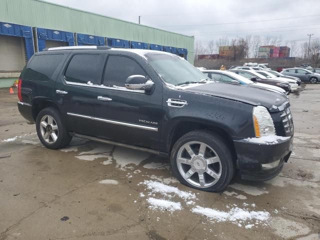 2010 Cadillac Escalade Premium