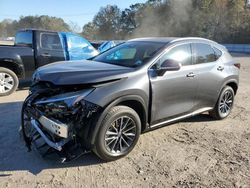 Lexus salvage cars for sale: 2025 Lexus NX 250 Premium