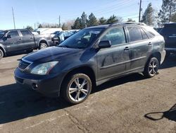 Lexus rx400 salvage cars for sale: 2006 Lexus RX 400