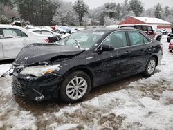 Toyota Camry salvage cars for sale: 2016 Toyota Camry Hybrid