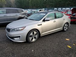 KIA Optima salvage cars for sale: 2012 KIA Optima Hybrid