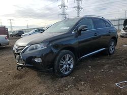 Lexus rx350 salvage cars for sale: 2014 Lexus RX 350 Base