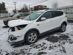 Ford Escape salvage cars for sale: 2013 Ford Escape SE