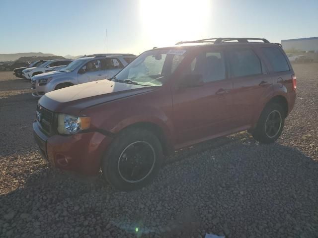 2009 Ford Escape XLT