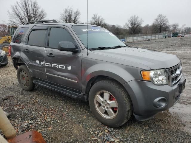 2010 Ford Escape XLT