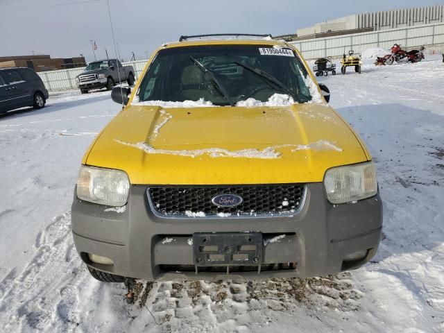 2002 Ford Escape XLT