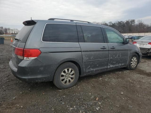 2010 Honda Odyssey EXL