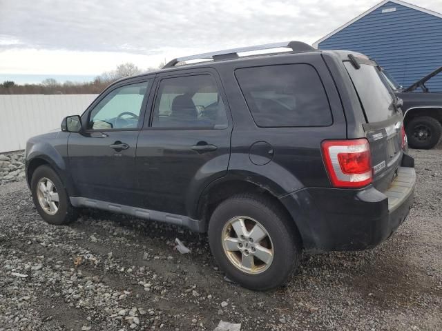 2011 Ford Escape Limited