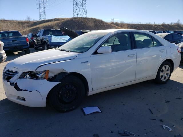 2009 Toyota Camry Hybrid