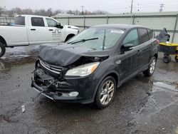 Ford Escape sel salvage cars for sale: 2013 Ford Escape SEL