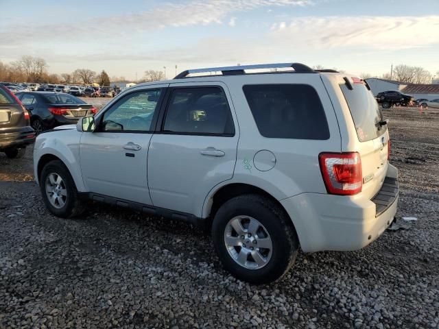 2011 Ford Escape Limited