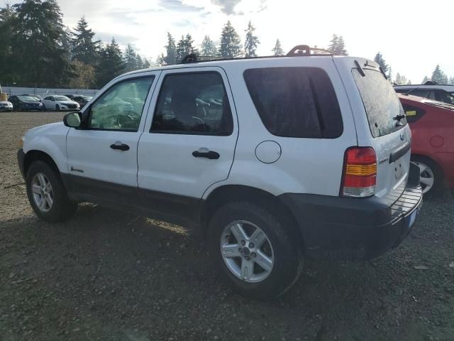 2006 Ford Escape HEV