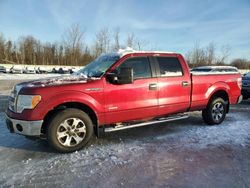 Salvage cars for sale from Copart Leroy, NY: 2014 Ford F150 Supercrew