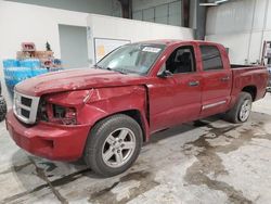 Dodge Dakota salvage cars for sale: 2010 Dodge Dakota SXT