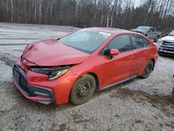 Toyota Corolla salvage cars for sale: 2020 Toyota Corolla SE