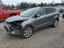 Ford Escape sel salvage cars for sale: 2013 Ford Escape SEL