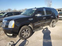 Cadillac Escalade salvage cars for sale: 2007 Cadillac Escalade Luxury