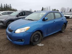 Toyota Corolla salvage cars for sale: 2009 Toyota Corolla Matrix S