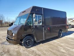 Freightliner Vehiculos salvage en venta: 2009 Freightliner Chassis M Line WALK-IN Van