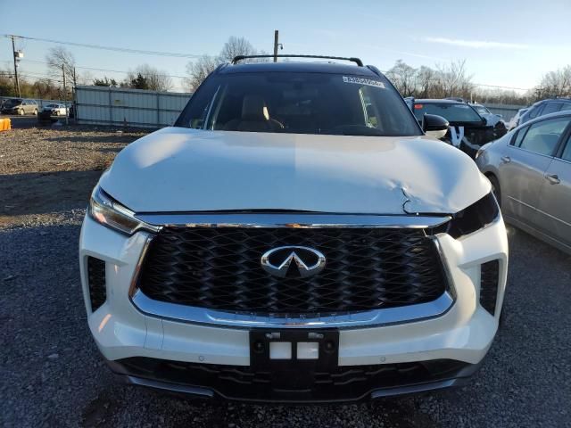 2024 Infiniti QX60 Autograph