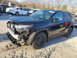 Toyota salvage cars for sale: 2024 Toyota Rav4 LE