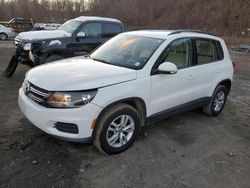 Volkswagen Tiguan salvage cars for sale: 2016 Volkswagen Tiguan S