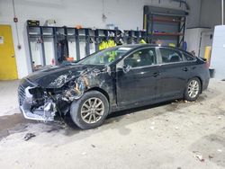 Hyundai Sonata salvage cars for sale: 2019 Hyundai Sonata SE