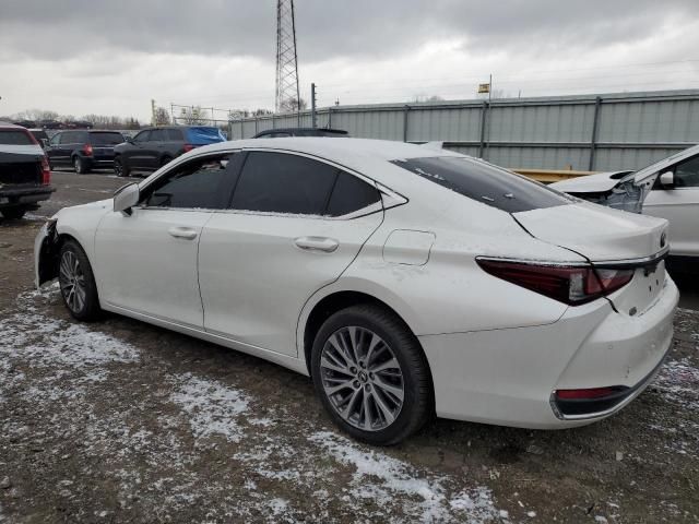 2021 Lexus ES 250 Base