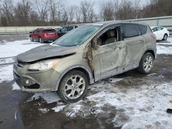 Ford Escape sel Vehiculos salvage en venta: 2013 Ford Escape SEL