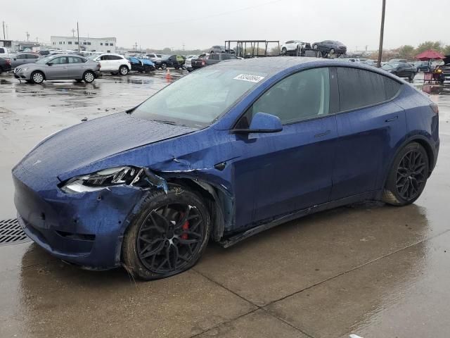 2020 Tesla Model Y