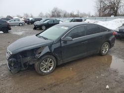 Hyundai Sonata salvage cars for sale: 2017 Hyundai Sonata SE