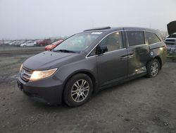 2012 Honda Odyssey EXL en venta en Eugene, OR