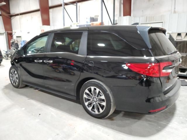 2023 Honda Odyssey EXL