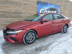 Salvage cars for sale from Copart Blaine, MN: 2024 Hyundai Elantra SEL