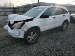 Honda Vehiculos salvage en venta: 2010 Honda CR-V EX