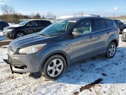 Ford Escape salvage cars for sale: 2014 Ford Escape SE