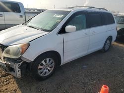 Honda Odyssey exl salvage cars for sale: 2010 Honda Odyssey EXL