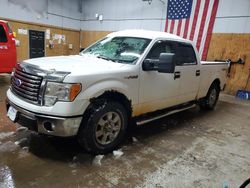 Salvage cars for sale from Copart Kincheloe, MI: 2010 Ford F150 Supercrew