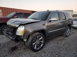 Cadillac Vehiculos salvage en venta: 2013 Cadillac Escalade Platinum