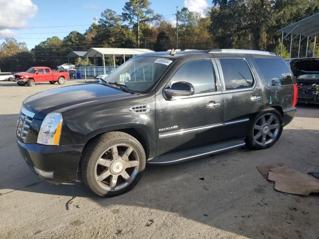 2014 Cadillac Escalade Luxury