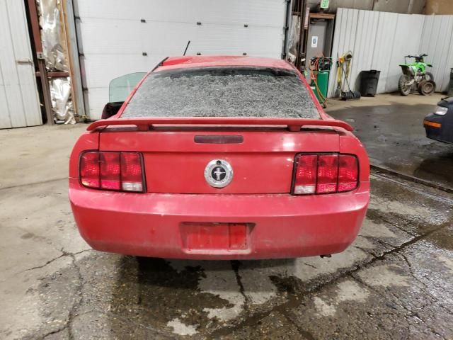 2005 Ford Mustang