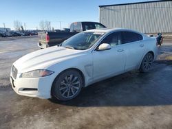 Jaguar xf salvage cars for sale: 2015 Jaguar XF 2.0T Premium