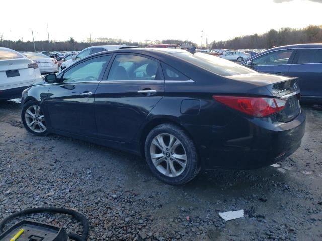 2013 Hyundai Sonata SE