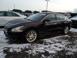 Nissan Maxima salvage cars for sale: 2010 Nissan Maxima S