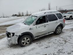 Ford salvage cars for sale: 2010 Ford Escape Limited