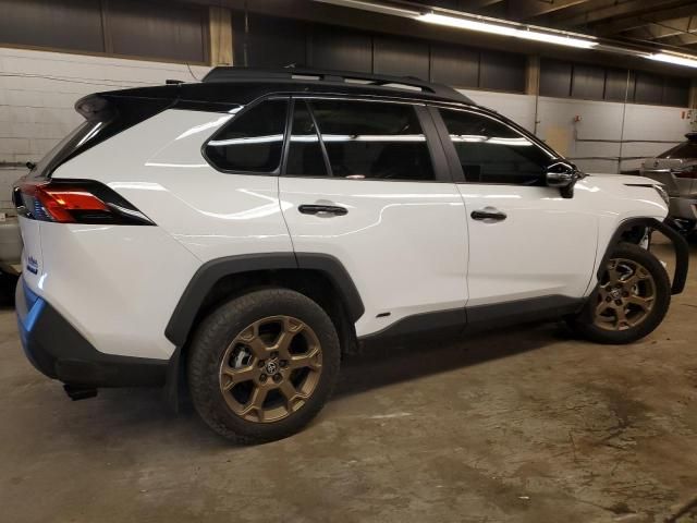 2024 Toyota Rav4 Woodland Edition
