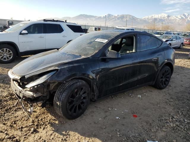 2020 Tesla Model Y