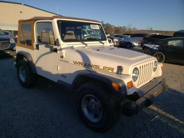 2002 Jeep Wrangler / TJ SE